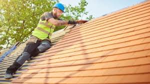 Best Steel Roofing  in Ridgeville, SC