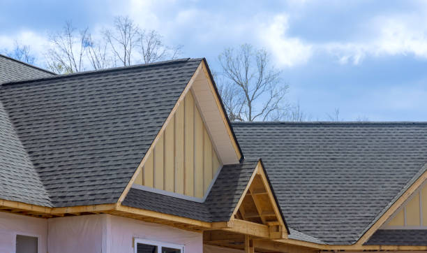 Best Gutter Installation and Repair  in Ridgeville, SC
