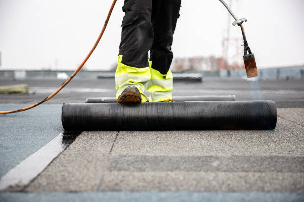 Best Metal Roofing Installation  in Ridgeville, SC