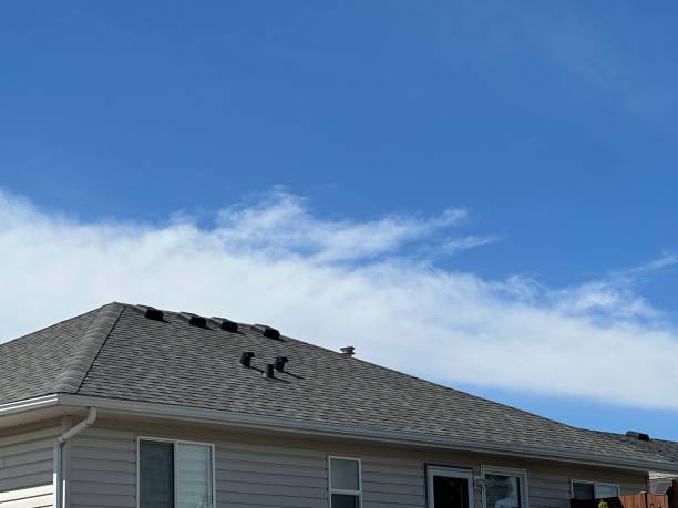Best Roof Insulation Installation  in Ridgeville, SC